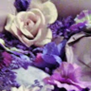 Meet your Posher, Rosy